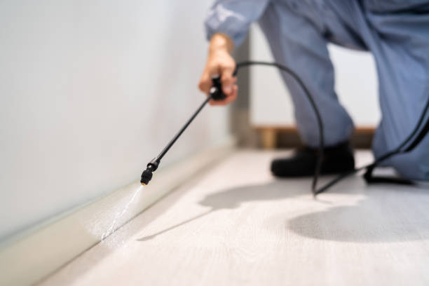Licensed Pest Control service in New Port Richey, FL - Show Me Pest Control