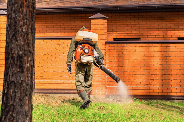 Bed Bug Clearance Verification and Documentation in New Port Richey
